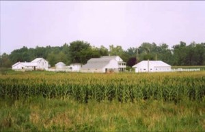 Amish Farm